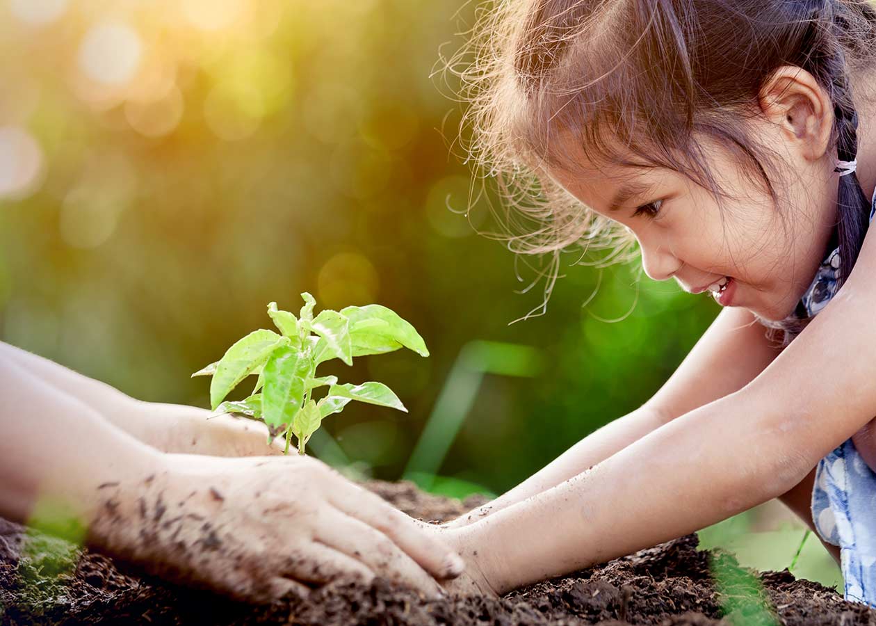 Little girl planting a seedling