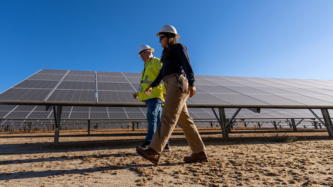 Team members walk through a field of solar panels