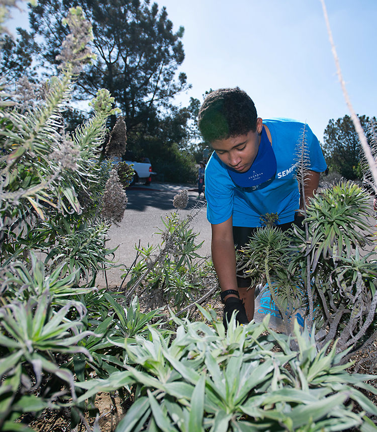 SDG&E team member participates in a coastal clean-up day